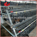 4 Tiers Layer Chicken Poultry Battery Cages para Nigerian Farm